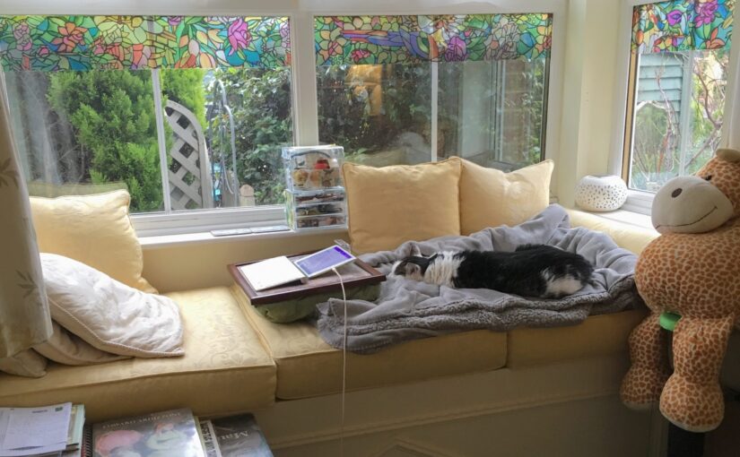 The Dilemma, and Value, of Distraction